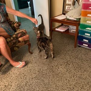 Meet your Posher, Heather